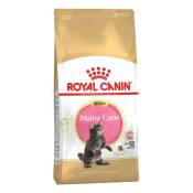 Royal Canin - Maine Coon Chaton nourriture sèche pour