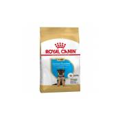Royal Canin - Thine Allemand Berger Chiot (Junior)