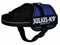 Blue Julius K9 Mini-mini Julius K9