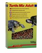 Lucky Reptile Turtle Mix