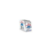 Patee chat royal canin indoor jelly 12x85g ROYAL CANIN