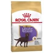 Royal Canin - Labrador Retriever Strilise pour chiens