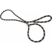 Zolux - Laisse nylon corde lasso noire - Noir