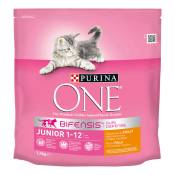 2x1,5kg Junior 1-12 mois poulet PURINA ONE - Croquettes pour chat