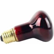Groofoo - R63 infrarouge ampoule 40 w Spot Lampe chauffante