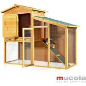 Mucola - Lapin stable Petit animal cage xxl