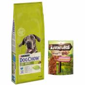 14kg Large Breed, dinde Dog Chow PURINA Croquettes