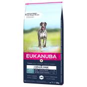 2x12kg Grain Free Adult Large Breed saumon Eukanuba - Croquettes pour chien
