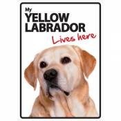 Magnet & Steel Plaque en Acier Jaune Labrador Lives