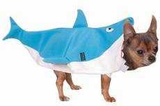 Rubies Officielle Requin Pet Costume pour Chien –