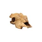 Exoterra décoration buffalo skull pour reptiles et amphibiens 11X23X23 cm