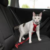 Trixie Harnais de sécurité pour voiture rouge - pour chat