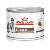 Vet Dog/Cat Recovery Nourriture pour Chien 195 g (9003579307717)