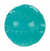 Balle Denta Fun, Caoutchouc Thermoplastique (Tpr) 6 cm Trixie
