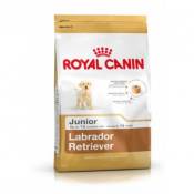 Croquettes royal canin labrador retriever 33 junior