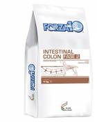 FORZA Forza10 Intestinal Colon Phase II Aliment Sec