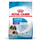 Lot Royal Canin Size grand format x 2 pour chien - Giant Starter Mother & Babydog (2 x 15 kg)