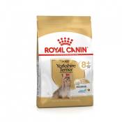 Royal Canin Yorkshire Terrier Adult 8+ - Croquettes pour chien-Yorkshire Terrier Adulte 8+