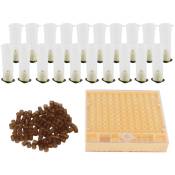 Boîte d'élevage de reine des abeilles, Cage en plastique, Kit de tasses de cellules d'élevage, fournitures d'équipement pour l'apiculture