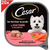 Cesar - Barquettes au veau tendre et aux carottes en terrine pour chien 20x300g