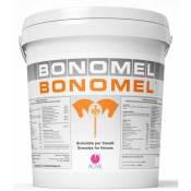 Bonomel aliment complémentaire pour juments gestantes