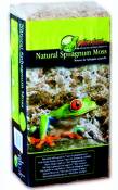 REPTILES PLANET Substrat pour Reptiles Natural Sphagnum Moss 5 kg