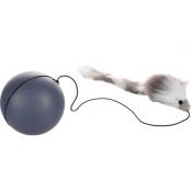 Jouet électronique balle automatique avec souris pour