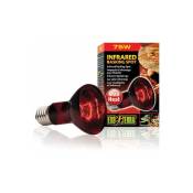 Exo lamp infrared a vis 75w