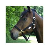 Licol Classic noir - Taille Cheval