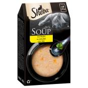 Mégapack Sheba Classic Soup 80 x 40 g pour chat - poulet