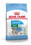 Nourriture Starter Mini 8.5 KG Royal Canin