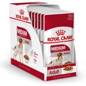 Royal Canin - adulte moyen - viande љ salsa - 10 enveloppe
