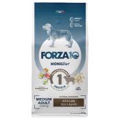 Lot Forza10 pour chien - Medium Diet agneau (2 x 12 kg)
