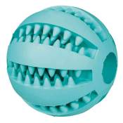 Mintfresh Baseball DentaFun pour chien 6 cm (TX-32880) - Trixie