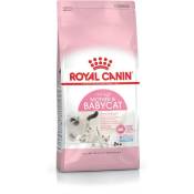 Royal Canin - Mère & Nourriture sèche pour chats Babycat 2 kg