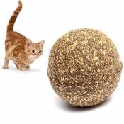 CAT Balles Yiitay Cat Rolling Ball pour animal domestique