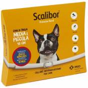 Collier pesticide Scalibor pour chiens efficace pendant