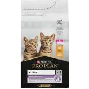 Pro Plan Original Kitten - nourriture sèche pour chats