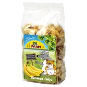 3x150g JR Farm Chips de banane pour lapin et rongeur