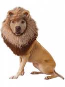 Animal Planet Lion Costume pour Chien, Petite