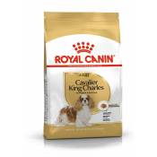 Croquettes Royal Canin Cavalier King Charles : 1,5