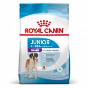 Royal Canin Giant Junior - Croquettes pour chiot-Giant
