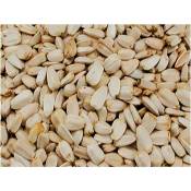 Vadigran - Grandes graines de tournesol blanches 2