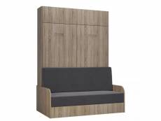 Armoire lit escamotable dynamo sofa accoudoirs structure chêne canapé gris couchage 140*200 20100994484