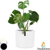 Fox & Fern Pot de Fleur Interieur et Extérieur, Jardinieres Exterieur, Pot Plante Résistant uv et Gel avec Bouchon de Drainage, Fiberstone,