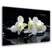 Hxadeco - Tableau photo zen orchidées et galets - 80x50 cm - Noir