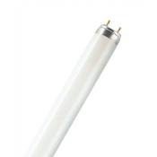 Osram - Tube fluorescent droit G13 blanc 5200 Lm 58