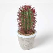 Petit Cactus artificiel Ferocactus en pot motif géométrique 25 cm - Vert et Rouge - Homescapes