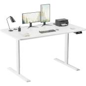 Standing Desk 140CM Electric Height Adjustable Desk Stand Up Home Office Computer Desk T-Shaped Metal Bracket Desk with Wood Tabletop and Memory