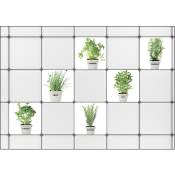 Sticker Carrelage Adhésif Décoratif 15x15cm x6 - Imitation Carrelage avec Motifs Pots Herbes Aromatiques - Vert